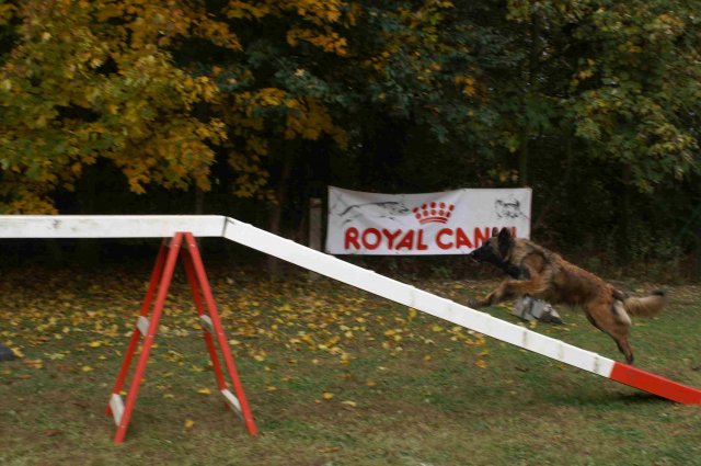 agility 2011-10-30
